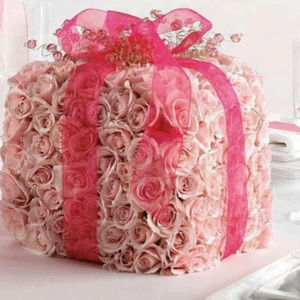 Meet your Posher, Karina